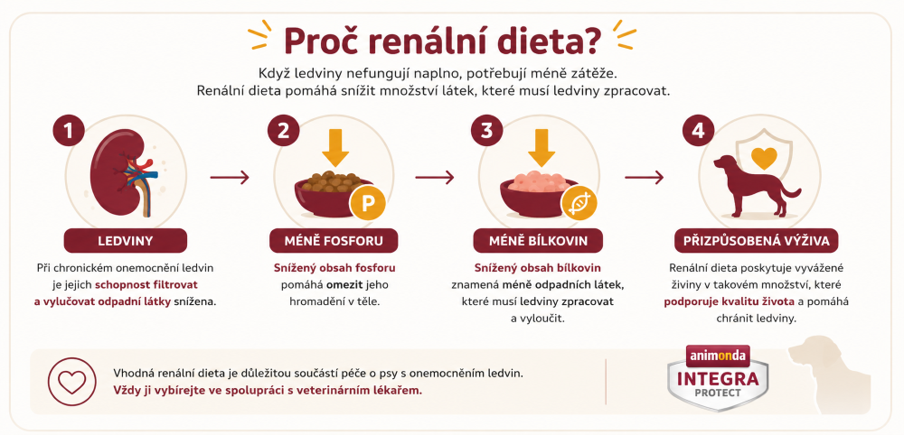 Infografika Proč renální dieta pro psy